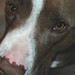 Leroy Towns Photo 4