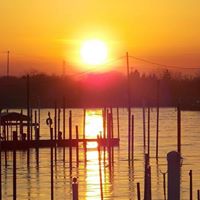 Darlene Jaeger Photo 5