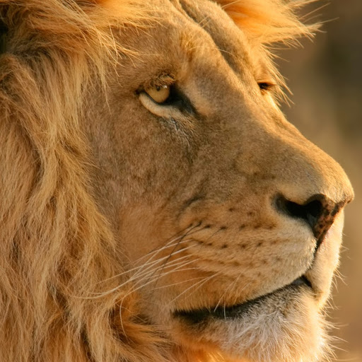 Raymond Russell Photo 9