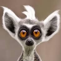 Ruth Muirhead Photo 2