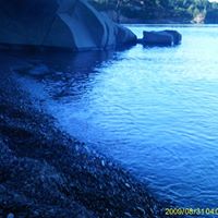 Darla Mcgrath Photo 3