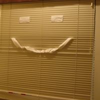 Vicki Foley Photo 37