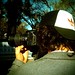 Leandro Gomez Photo 14