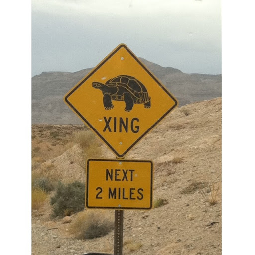 Tracy Blankenship Photo 15