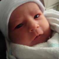 Joseph Ayres Photo 14