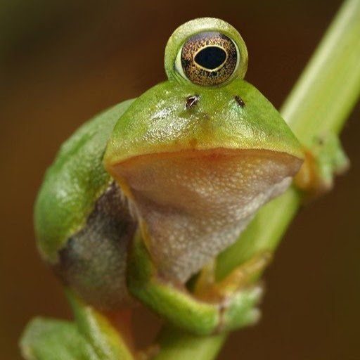Jay Roth Photo 39