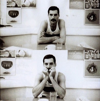 Sue Lambert Photo 13