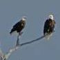 Vickie Sharp Photo 43