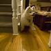 Alice Hinds Photo 6