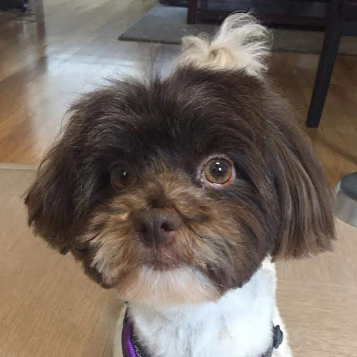 Cheryl Mccain Photo 8