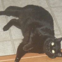 Kitty Robinson Photo 6