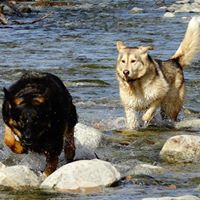 Katherine Moseley Photo 6