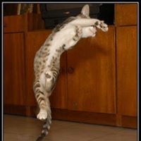 Jason Morin Photo 15