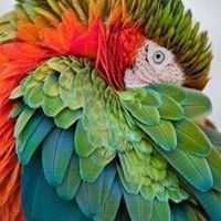 Sandy Parrott Photo 15