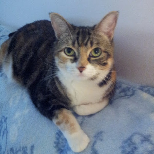 Lisa Hackney Photo 8