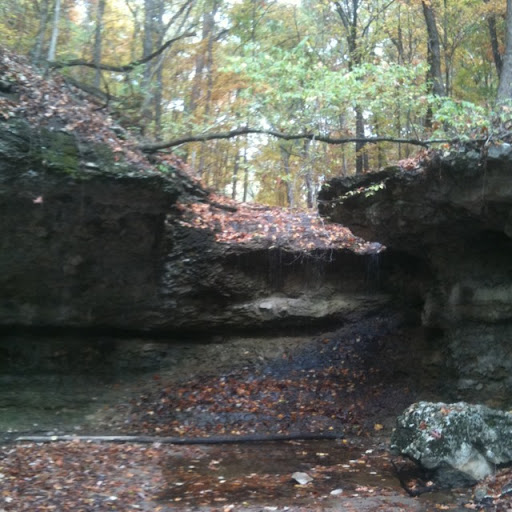 Thomas Wills Photo 20