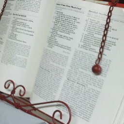 Sandra Terrell Photo 24