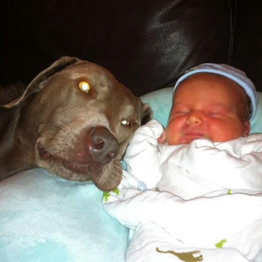 Robert Copeland Photo 52