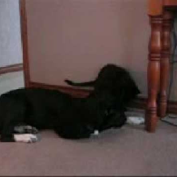 Kimberly Peters Photo 30