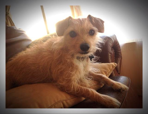 Catherine Leavitt Photo 11