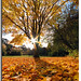 Russell Kent Photo 15