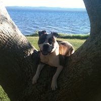 Molly Nolan Photo 35