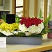 Deborah Prescott Photo 6