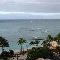 Elizabeth Mayfield Photo 34