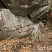 Adam Maffei Photo 7