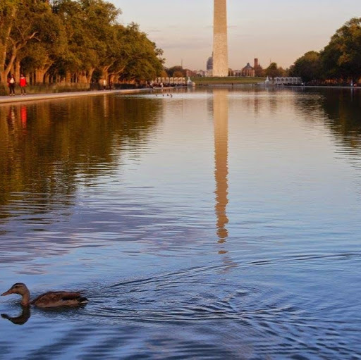 Stephanie Moreland Photo 8