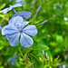Sharon Hurt Photo 14