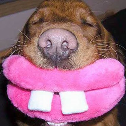 Caroline Lucas Photo 28 Caroline Lucas Photo 28