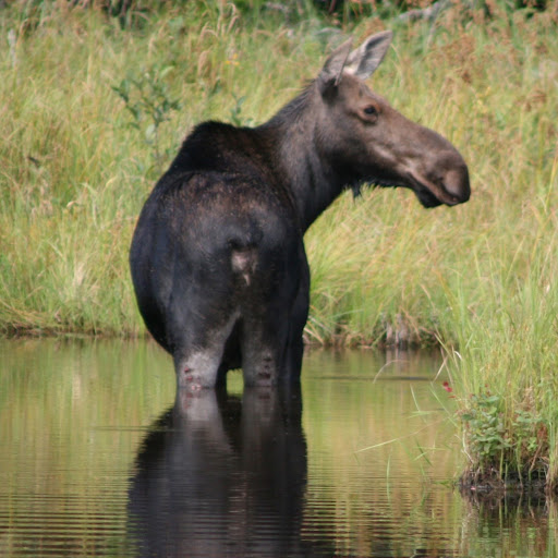 Heidi Burgess Photo 10