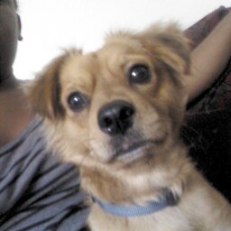 Danielle Randall Photo 10