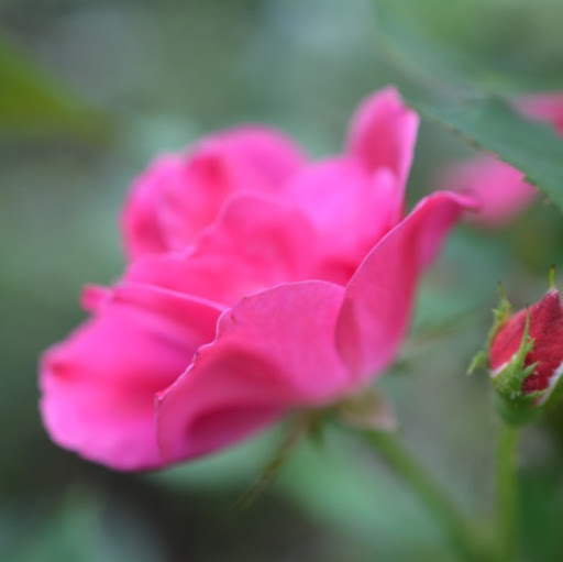 Nathan O'Donnell Photo 1