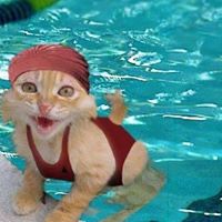 Mark Nichols Photo 42 Mark Nichols Photo 42