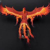 Stephen Wolff Photo 16