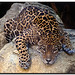 Jeff Dreher Photo 13