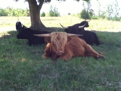 Shawn Farmer Photo 16