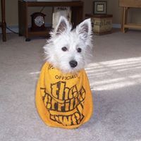 Jennifer Mcmahan Photo 24