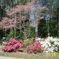 Sharon Snyder Photo 20 Sharon Snyder Photo 20