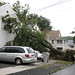 Brenda Heath Photo 28