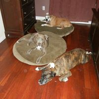 Julie Womack Photo 19
