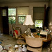 Cynthia Hauk Photo 4