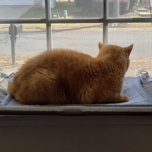 Kristin Burke Photo 23