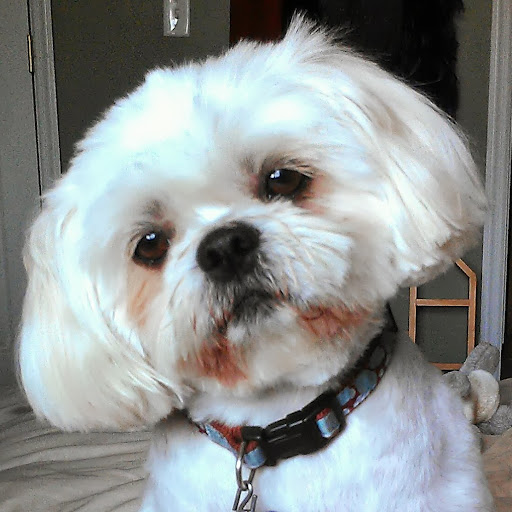 Barry Greene Photo 45