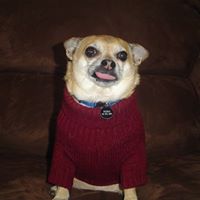 Karen Kozlowski Photo 16