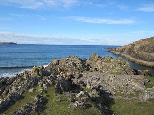 Terry Donaldson Photo 31