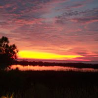 Debra Hamilton Photo 20