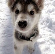 Matthew Davenport Photo 11